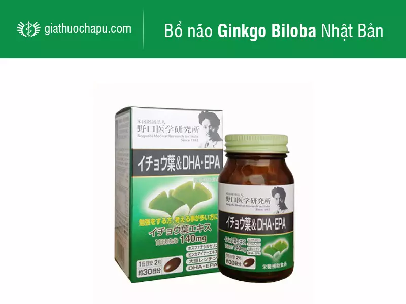 Thuốc bổ não giảm đau đầu Ginkgo Biloba Nhật Bản