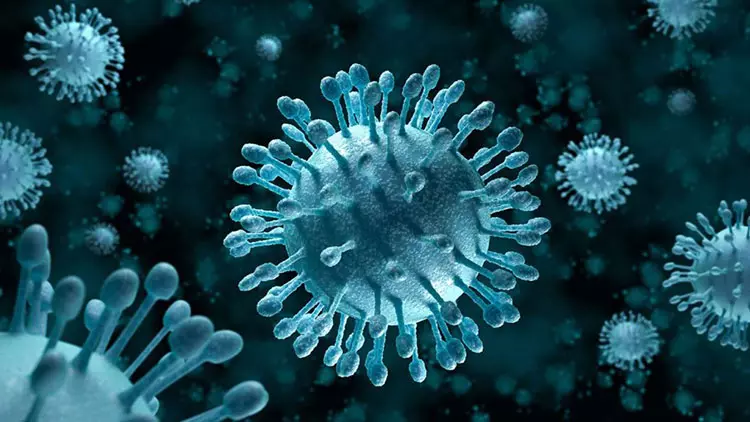 Virus là nguyên nhân chính gây viêm họng cấp