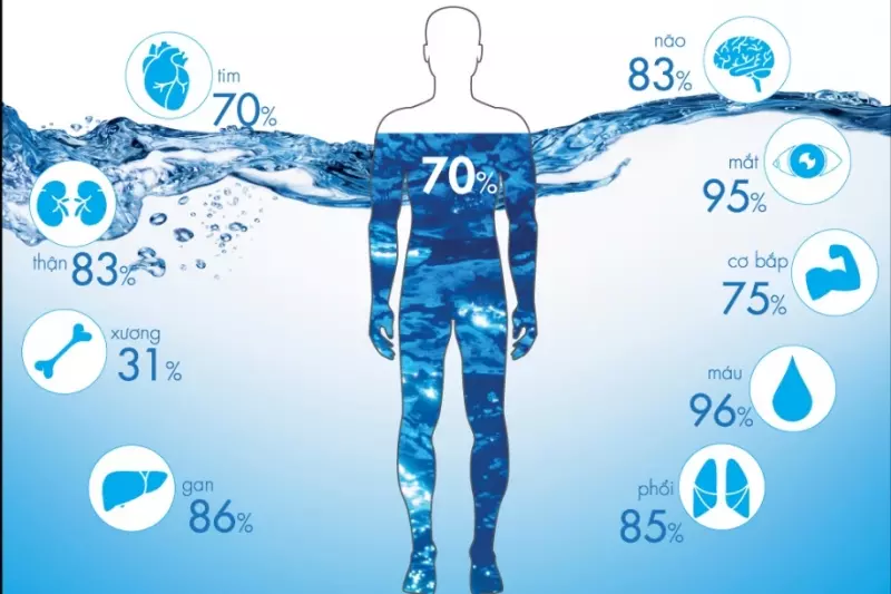 70% cơ thể người là nước
