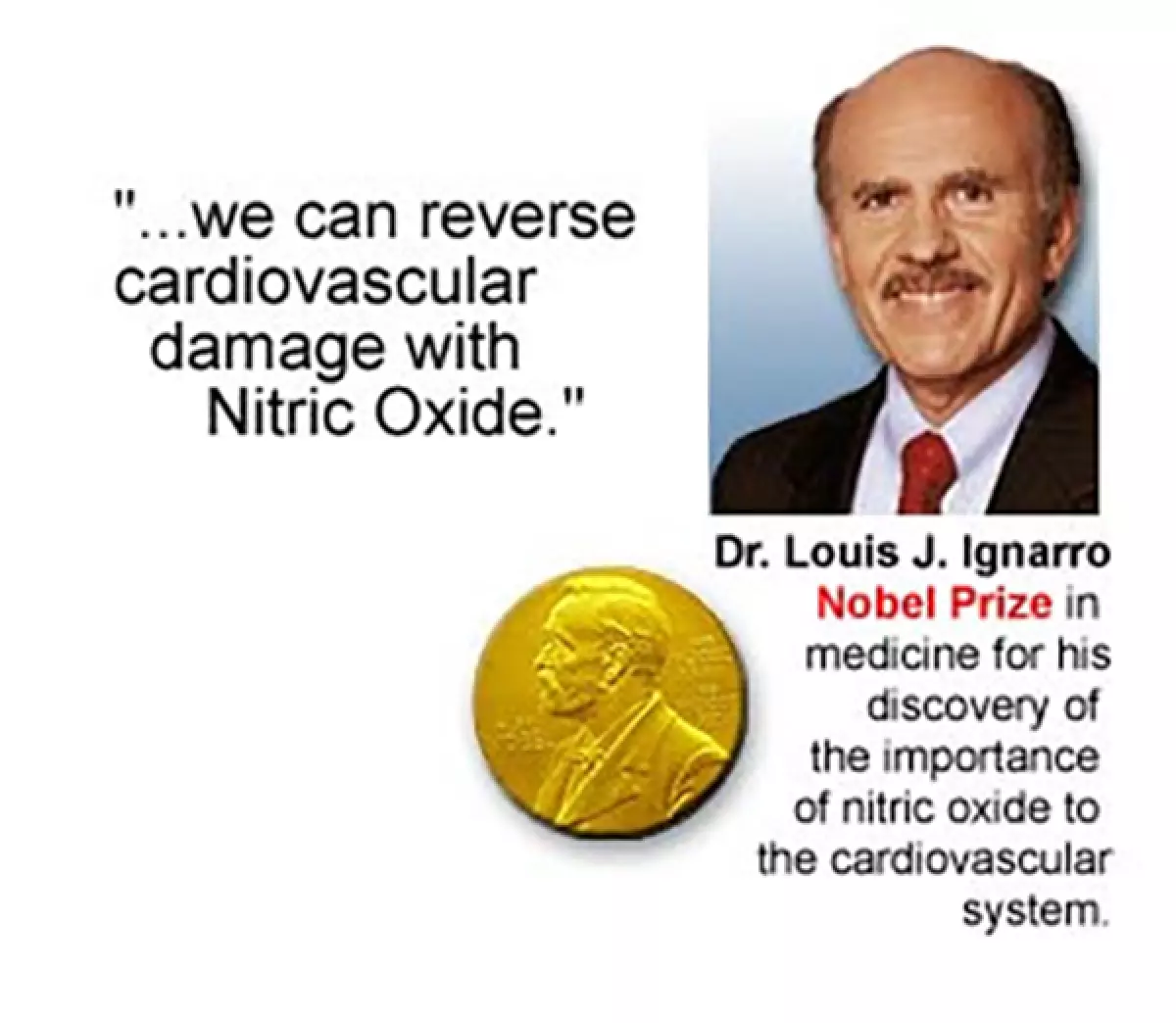 Tiến sĩ Y khoa Louis Ignarro đạt giải Nobel Y học 1988 với sự phát hiện về tầm quan trọng của N.O đối với hệ tim mạch
