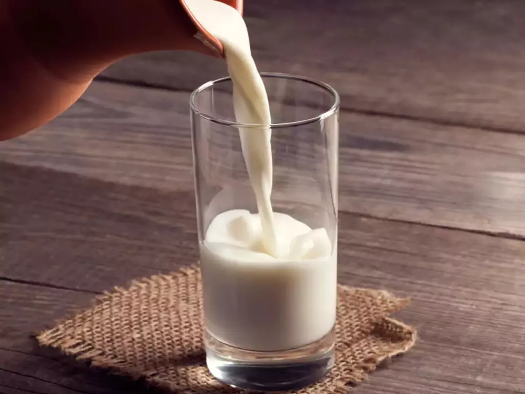 Sữa tươi giàu protein