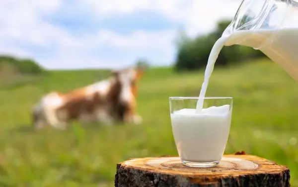 Sữa là nguồn thực phẩm giàu canxi, protein, vitamin A, vitamin D tuyệt vời