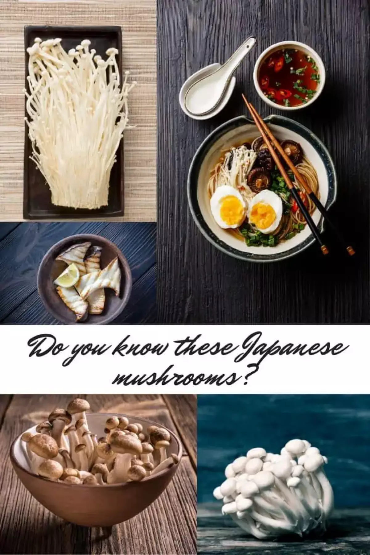 Các loại nấm Nhật Bản khác nhau